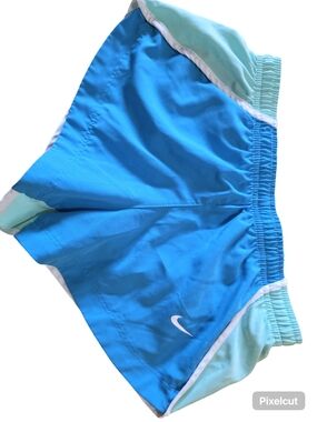 Nike Turquoise and Mint Athletic Shorts